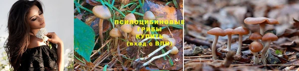 метадон Белоозёрский