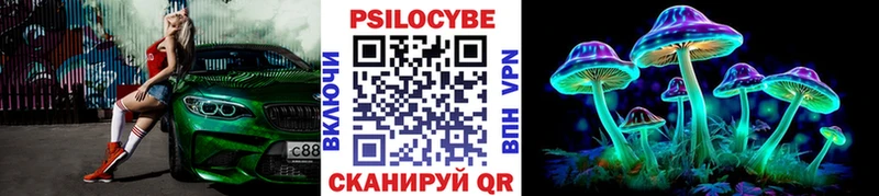 где можно купить   Воскресенск  Галлюциногенные грибы Magic Shrooms 