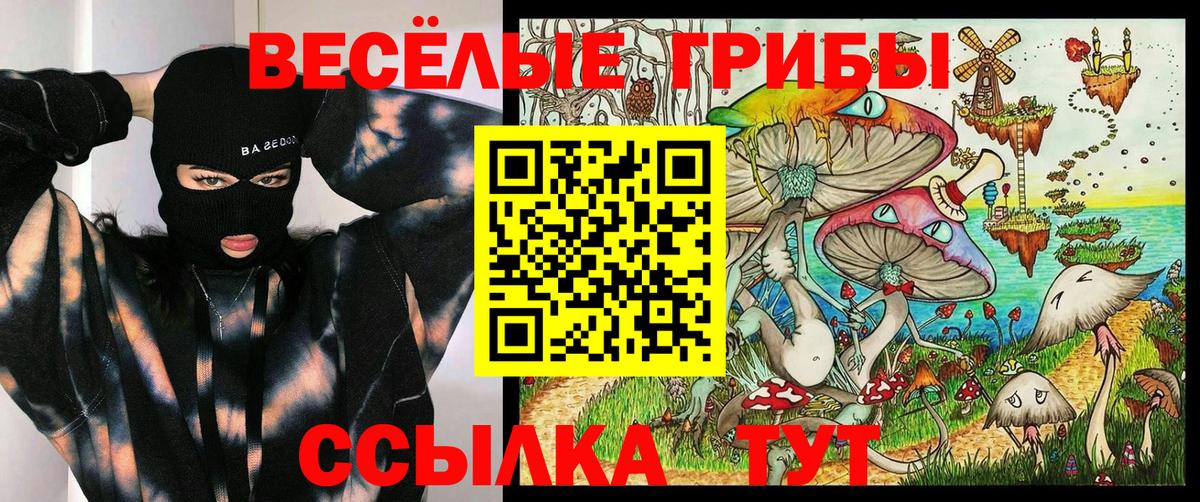Псилоцибиновые грибы Cubensis Воскресенск